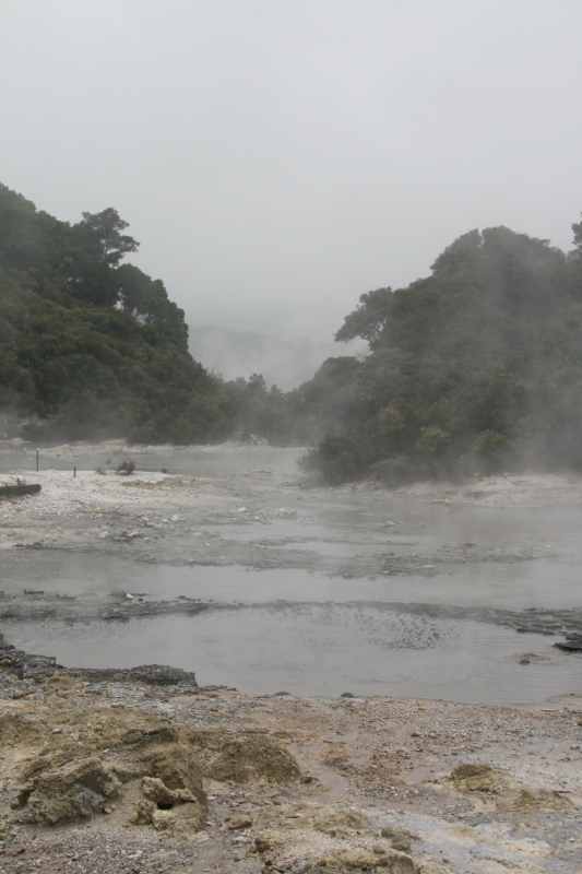 Nieuw-Zeeland 2011 - 0605